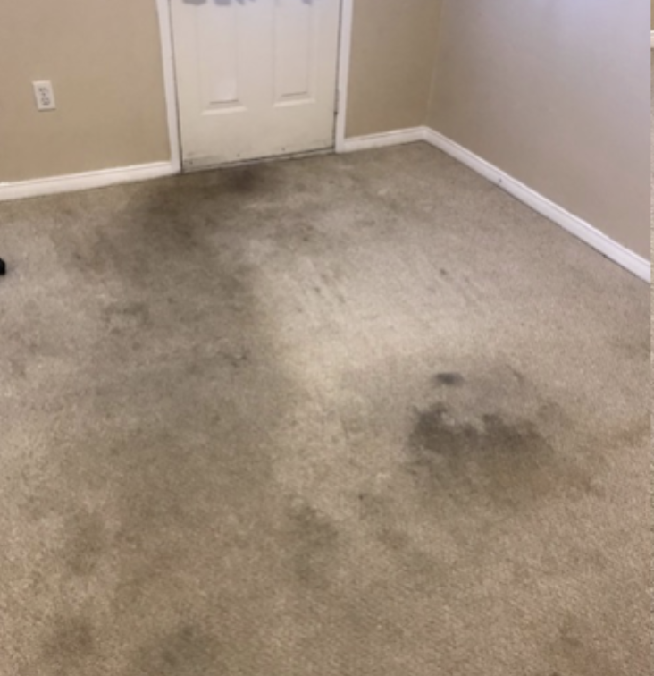 Deep Carpet Cleaning - Office Building - Before